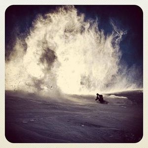 Meet your Posher, Timothy